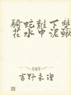 骑蛇难下双金银花水中泥鳅双男主