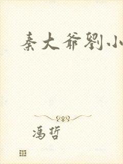 秦大爷刘小静封面