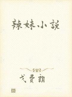 辣妹小说