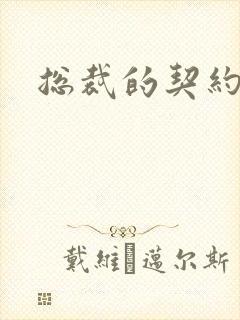 总裁的契约妻封面