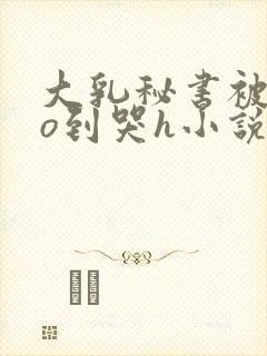 大乳秘书被cao到哭h小说