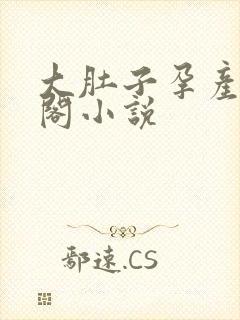 大肚子孕产笔趣阁小说