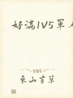 好满1V5军人