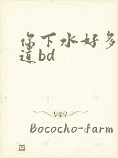 你下水好多下水道bd封面