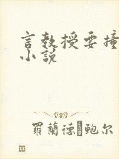 言教授要撞坏了小说封面