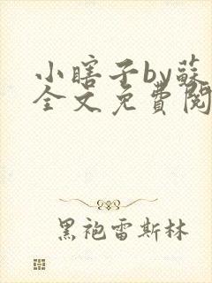 小瞎子by苏软全文免费阅读