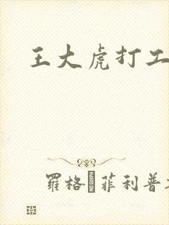 王大虎打工封面