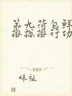 第九荷包鲜辣肉排总排行功能介绍