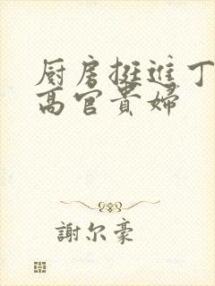 厨房挺进丁字裤高官贵妇封面