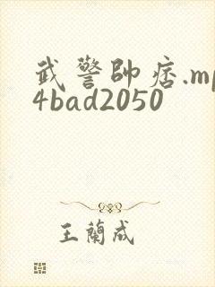 武警帅痞.mp4bad2050封面