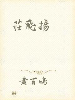 庄飞扬封面