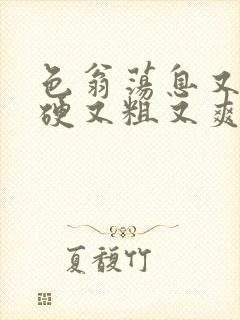 色翁荡息又大又硬又粗又爽电影