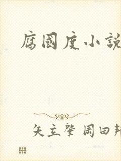 腐国度小说封面