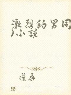 激烈的男同(h)小说