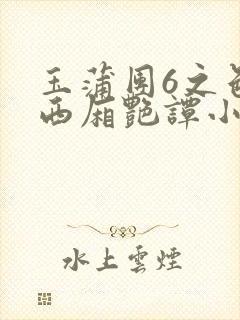 玉蒲团6之色情西厢艳谭小说封面