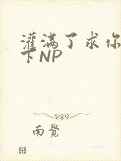 灌满了求你们停下NP