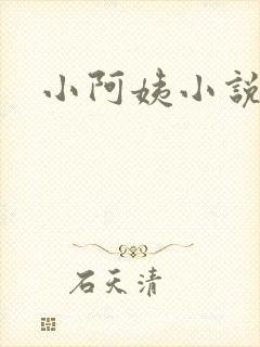 小阿姨小说