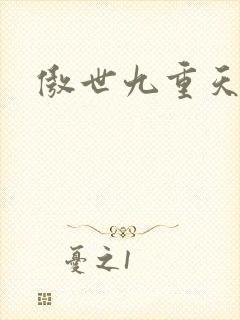 傲世九重天小说