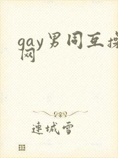 gay男同互操网