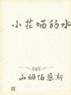 小花喵的水蜜桃