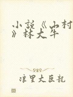小说《山村情事》林大牛