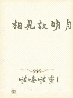 相见故明月封面