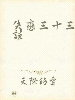 失恋三十三天小说
