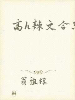 高h辣文合集封面