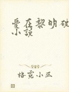 爱在黎明破晓前小说
