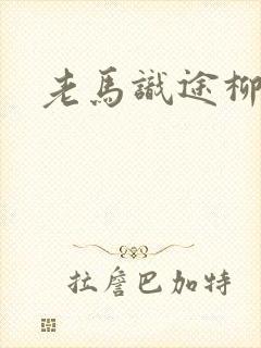 老马识途柳娇娇