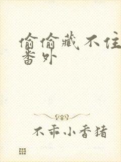 偷偷藏不住新婚番外