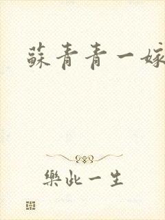 苏青青一嫁三夫封面