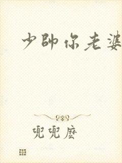 少帅你老婆封面