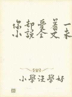 你却爱着一个他小说全文未删减免费