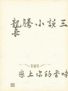 龙腾小说三宝局长
