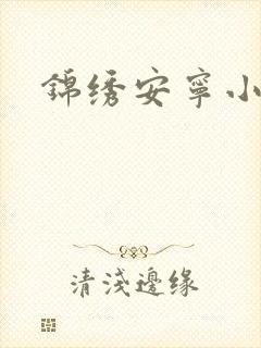 锦绣安宁小说封面