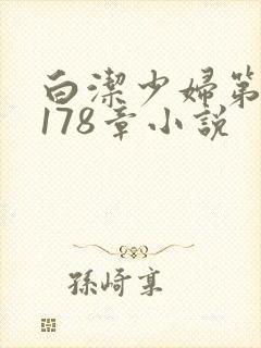 白洁少妇第1一178章小说封面