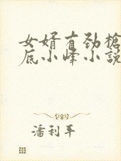 女婿有劲枪枪到底小峰小说