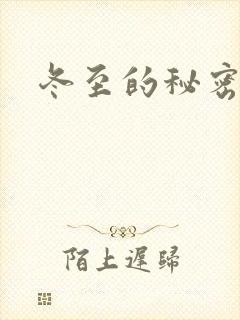 冬至的秘密封面