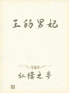 王的男妃封面