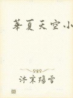 华夏天空小说网封面