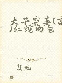 太子宠妾(高肉)红烧肉包