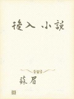 后入 小说