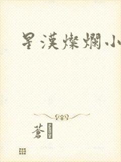 星汉灿烂小说