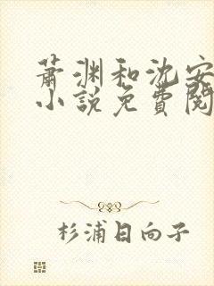 萧渊和沈安安的小说免费阅读