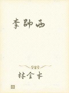 李帅西封面