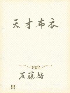 天才布衣封面