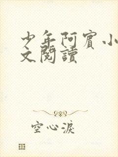 少年阿宾小说全文阅读