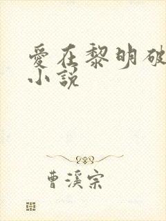 爱在黎明破晓前小说封面