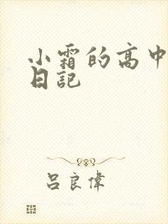小霜的高中成长日记